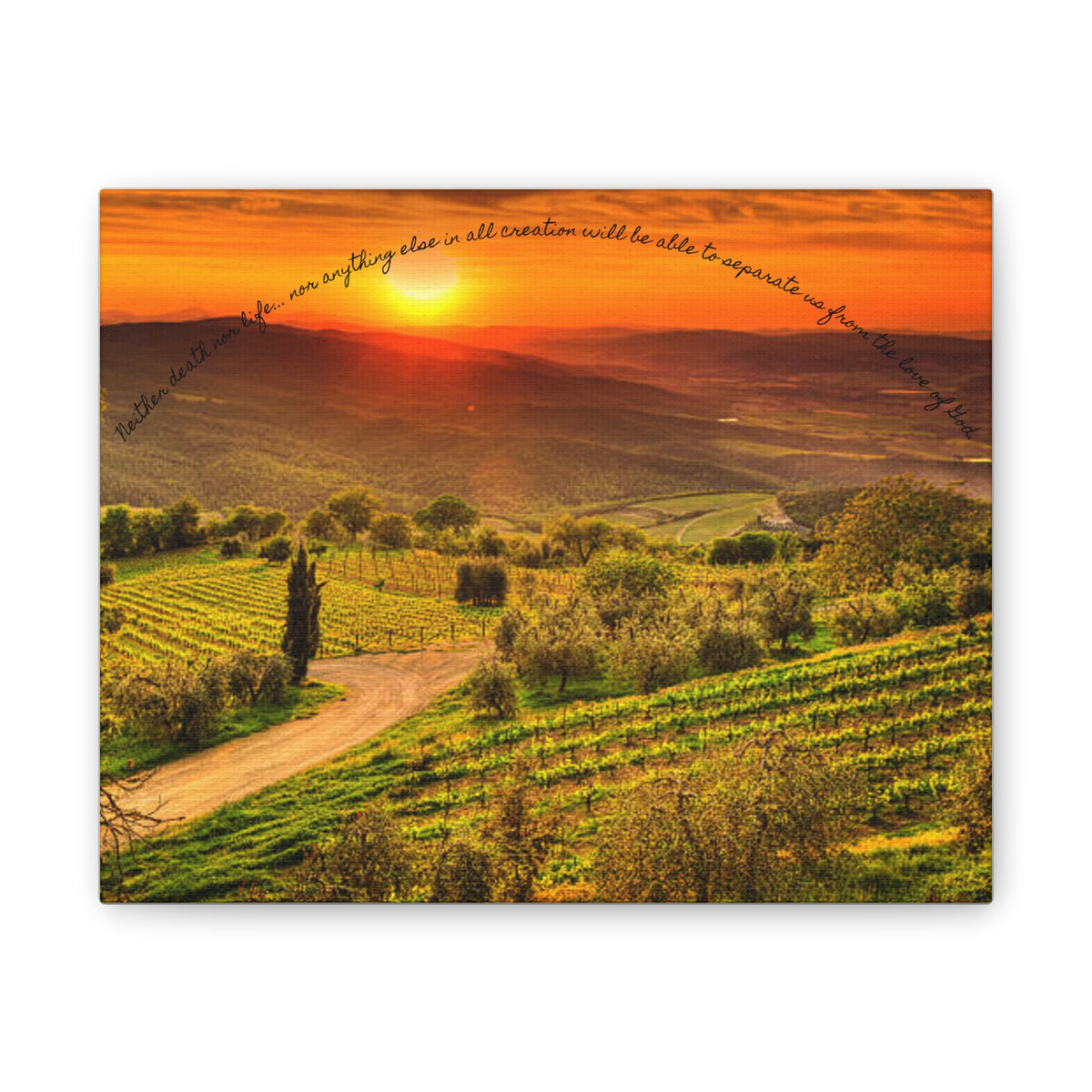 A Sunset Vineyard Canvas Art Print, Nature Wall Decor, Inspirational Quote Wall Art, Home Decor, Gift for Wine Lovers