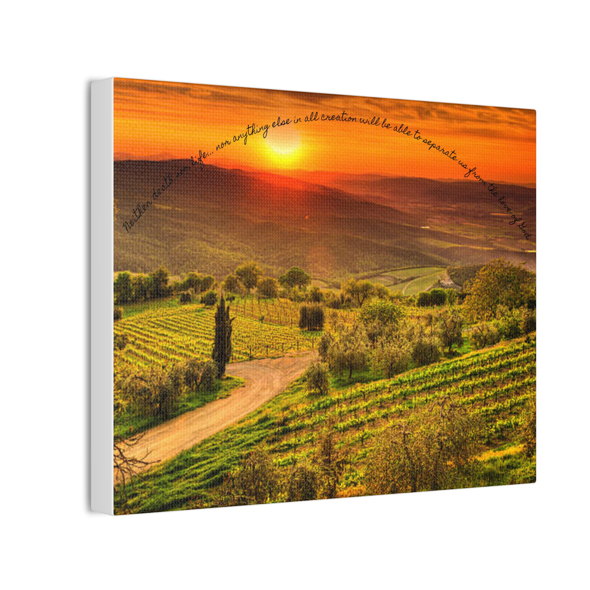 A Sunset Vineyard Canvas Art Print, Nature Wall Decor, Inspirational Quote Wall Art, Home Decor, Gift for Wine Lovers